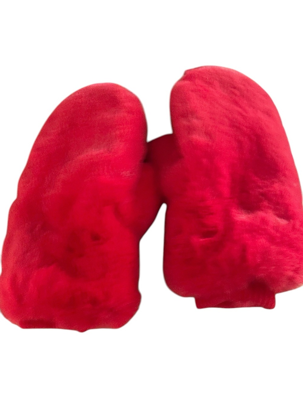Gertex Cozy Red Plush Mittens NWOT